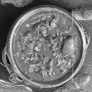 Mushroom Handi