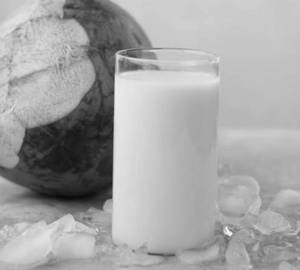 Coconut tender milk shake