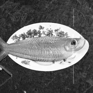 Nethli Fish