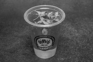 Paan Mojito