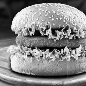 Veg Burger