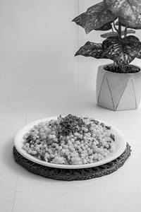 Sabudana Khichdi White
