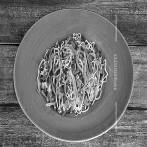 Veg Crispy Noodles Salad Plain Mayo