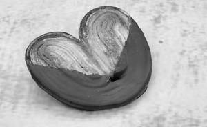 El 55% Dark Chocolate Palmier