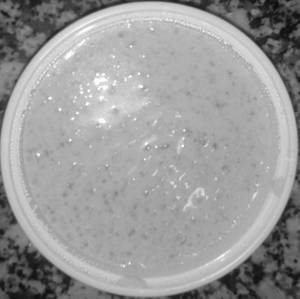 Kaddu Ki Kheer