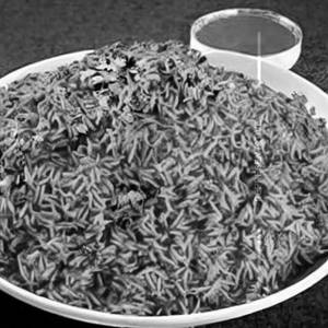 Veg Seven Spice Rice