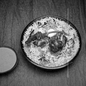 Chiken Dum Biryani