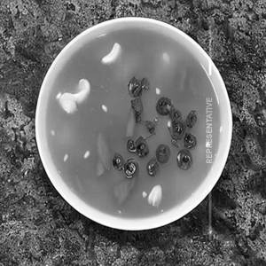 Eight Treasure Soup