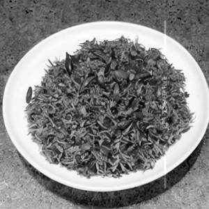 Crispy Rice