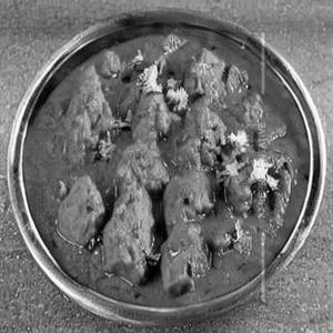 Kattuvasi Kozhi Masala