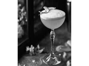 Kiwi Mojito