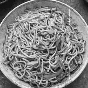 Schezwan Noodles