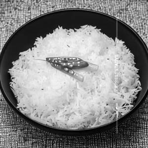 Steamed Rice
