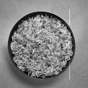 Masala Rice