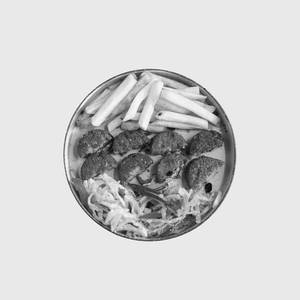 Falafel Craft