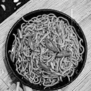 Veg Sezwan Noodels