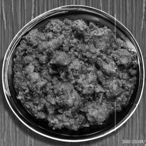 Kaju Masala