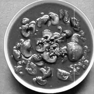 Shanghai Mushroom