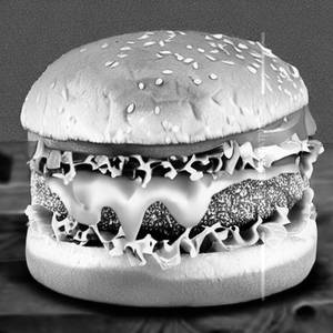 Chicken Cheese Burger