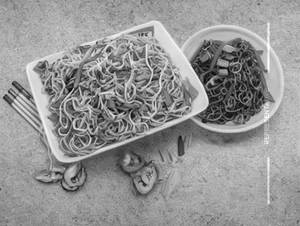 Hakka Noodles
