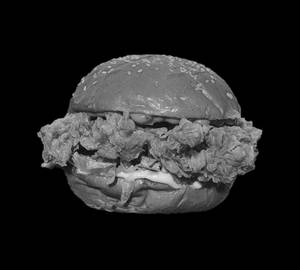 Chikni Burger