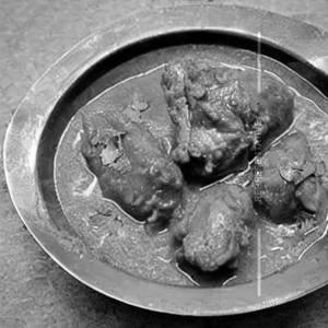 Chicken Kosha(F)