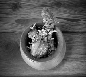 Handi chicken