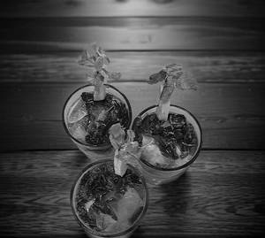 Virgin Mojito