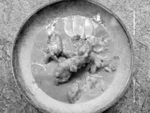 Chicken in Yellow Curry