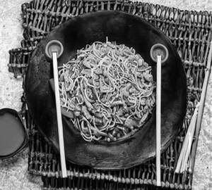 Chicken fried noodles