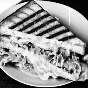 Grilled Chicken Cheese Sandwich
