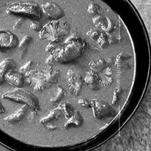 Mushroom Tawa Kadai