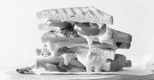 Un 12 Special Sandwich