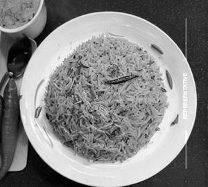 Veg Schezwan Rice