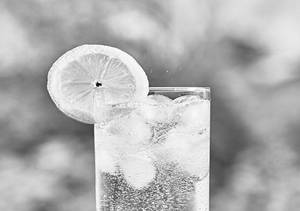 Fresh Lime Soda