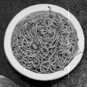 Triple Schz Noodles