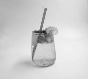 Mint Mojito