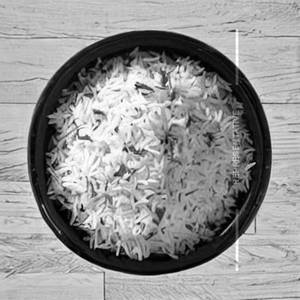 Pudina Rice