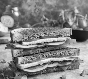 Toast Veg Sandwich