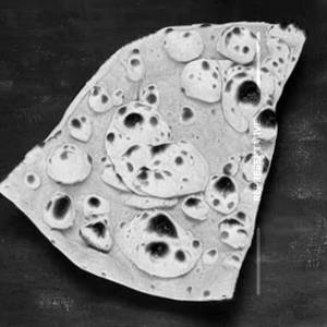 Roti