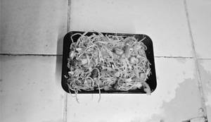 Veg Mix Noodles