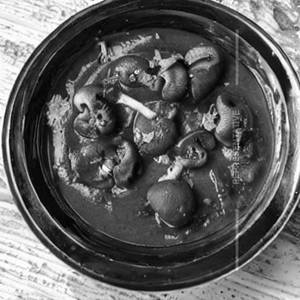 Mushroom Mutter