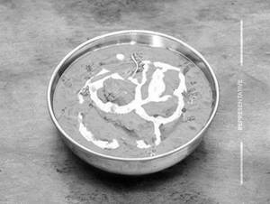 Shahi Paneer