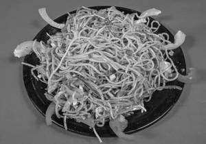 Veg Noodles