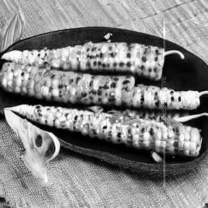 Baby Corn Pepper Dry