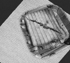 Veg Cheesy Sandwich