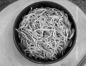 Veg Noodles