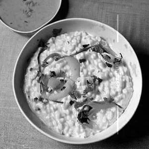 Curd Rice
