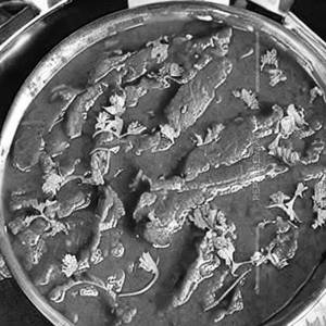 Beef Sawchiar
