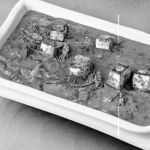 Paneer Kurma